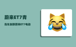 蔚来ET7青岛车友群_蔚来ET7电动车质量咋样