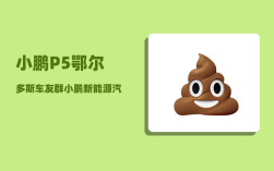 小鹏P5鄂尔多斯车友群_小鹏新能源汽车是哪里生产