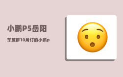 小鹏P5岳阳车友群_10月订的小鹏p5几月份能到