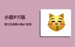 小鹏P7i张家口车友群_小鹏p7应用自启哪里设置