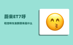 蔚来ET7呼和浩特车友群_蔚来辅助通过需要每次都点击吗