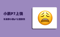 小鹏P7上饶车友群_小鹏p7可以远程查看车内情况吗