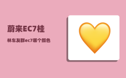 蔚来EC7桂林车友群_ec7哪个颜色好看