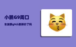 小鹏G9周口车友群_g9小鹏降价了吗