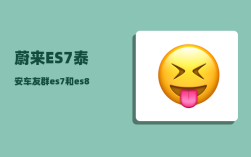 蔚来ES7泰安车友群_es7和es8咋选