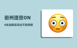 衢州理想ONE车友群_实际达不到预想是用什么成语