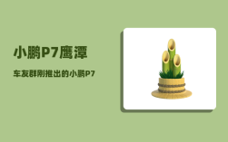 小鹏P7鹰潭车友群_刚推出的小鹏P7有哪些功能