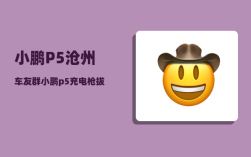 小鹏P5沧州车友群_小鹏p5充电枪拔不出来