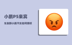 小鹏P5来宾车友群_小鹏汽车如何授权手机app