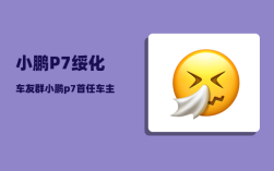 小鹏P7绥化车友群_小鹏p7首任车主是什么意思