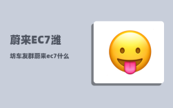 蔚来EC7潍坊车友群_蔚来ec7什么时候交付