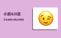 小鹏G3i武汉车友群_小鹏g3近光灯怎么开