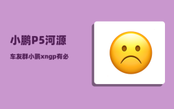 小鹏P5河源车友群_小鹏xngp有必要加装吗