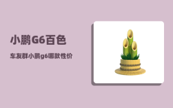 小鹏G6百色车友群_小鹏g6中创新航电池怎么样