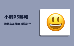 小鹏P5呼和浩特车友群_g6被称为什么