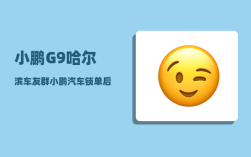 小鹏G9哈尔滨车友群_小鹏汽车锁单后可以退定金吗
