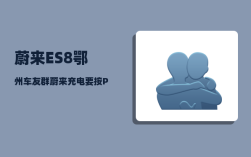 蔚来ES8鄂州车友群_蔚来充电要按P档吗