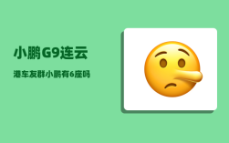 小鹏G9连云港车友群_小鹏有6座吗