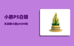 小鹏P5白银车友群_小鹏p5600和550区别