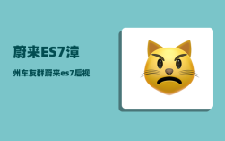蔚来ES7漳州车友群_蔚来es7后视镜怎么贴车衣