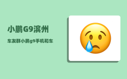 小鹏G9滨州车友群_小鹏g9手机和车机连接的流程
