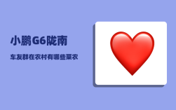 小鹏G6陇南车友群_在农村有哪些菜农民不愿意吃