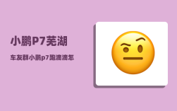 小鹏P7芜湖车友群_小鹏p7跑滴滴怎么样