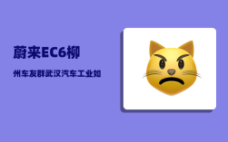 蔚来EC6柳州车友群_武汉汽车工业如何