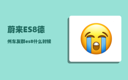 蔚来ES8德州车友群_es8什么时候大换代