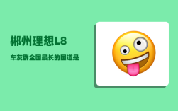 郴州理想L8车友群_全国最长的国道是哪一条