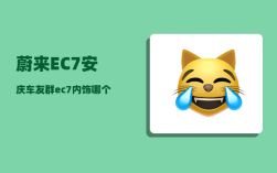 蔚来EC7安庆车友群_ec7内饰哪个颜色好看