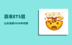 蔚来ET5眉山车友群_2020年在哪个城市买房好