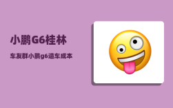 小鹏G6桂林车友群_小鹏g6造车成本