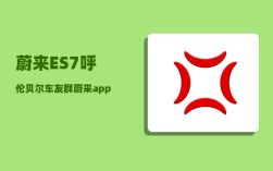蔚来ES7呼伦贝尔车友群_蔚来app如何查看行车轨迹