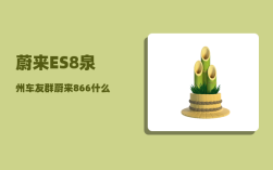 蔚来ES8泉州车友群_蔚来866什么意思