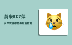 蔚来EC7萍乡车友群_感觉仍然没有发展出真正的民族品牌