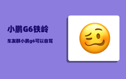 小鹏G6铁岭车友群_小鹏g6的电控系统是哪家