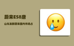蔚来ES8唐山车友群_蔚来国内市场占有率多少