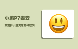小鹏P7泰安车友群_小鹏汽车怎样取消定位