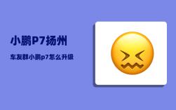 小鹏P7扬州车友群_小鹏p7怎么升级ota