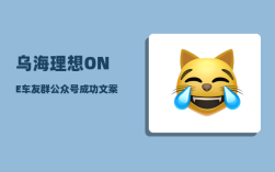 乌海理想ONE车友群_公众号成功文案有哪些