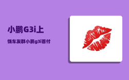 小鹏G3i上饶车友群_小鹏g3胎压监测系统故障