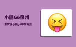 小鹏G6泉州车友群_小鹏g6等车需要多久