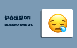 伊春理想ONE车友群_最近看到有好多房车旅游的视频