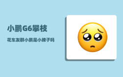 小鹏G6攀枝花车友群_小鹏是小牌子吗