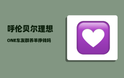 呼伦贝尔理想ONE车友群_养羊挣钱吗