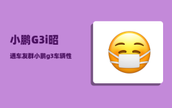 小鹏G3i昭通车友群_小鹏g3车辆性能受限什么情况