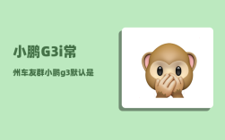 小鹏G3i常州车友群_小鹏g3涉水深度大约多少