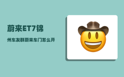 蔚来ET7锦州车友群_蔚来车门怎么开