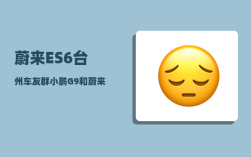 蔚来ES6台州车友群_小鹏G9和蔚来ES6哪个更靠谱